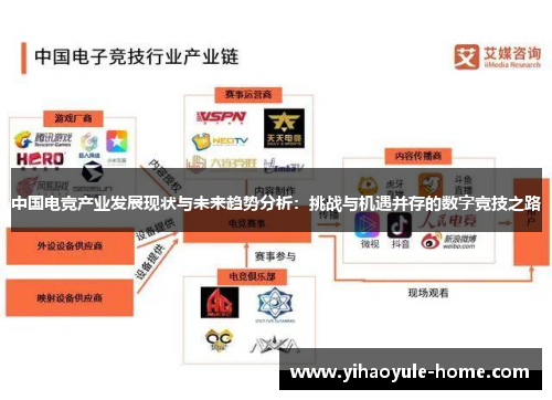 中国电竞产业发展现状与未来趋势分析：挑战与机遇并存的数字竞技之路